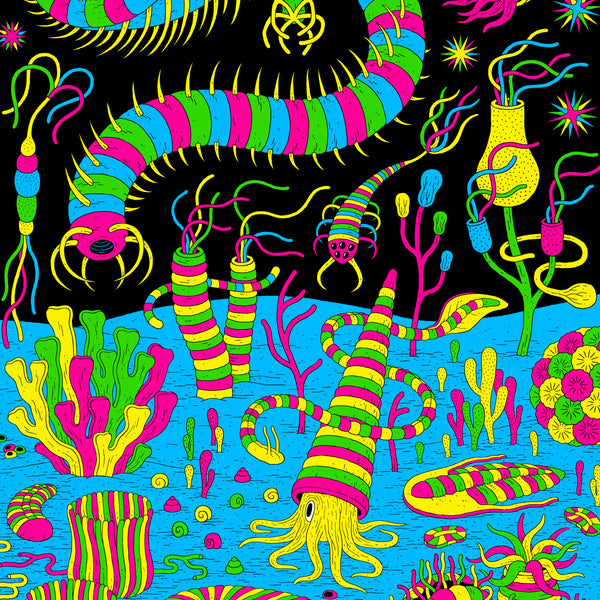 CAMBRIAN EXPLOSION, Silkscreen - 50x70 cm — by Jesse Jacobs – Paperole