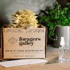 GROW-AT-HOME MUSHROOM KIT, Golden Oyster — by Foragers Galley