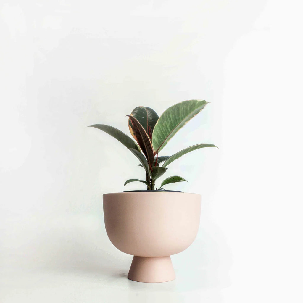 ALEX PLANT POT SMALL - Pink — by Josie Daisy