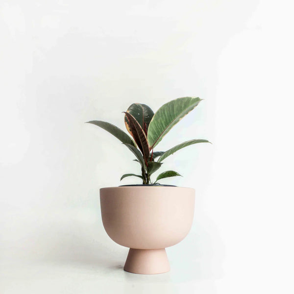 ALEX PLANT POT SMALL - Pink — by Josie Daisy