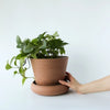 ANDY V2 PLANT POT - Terra Cotta — by Josie Daisy