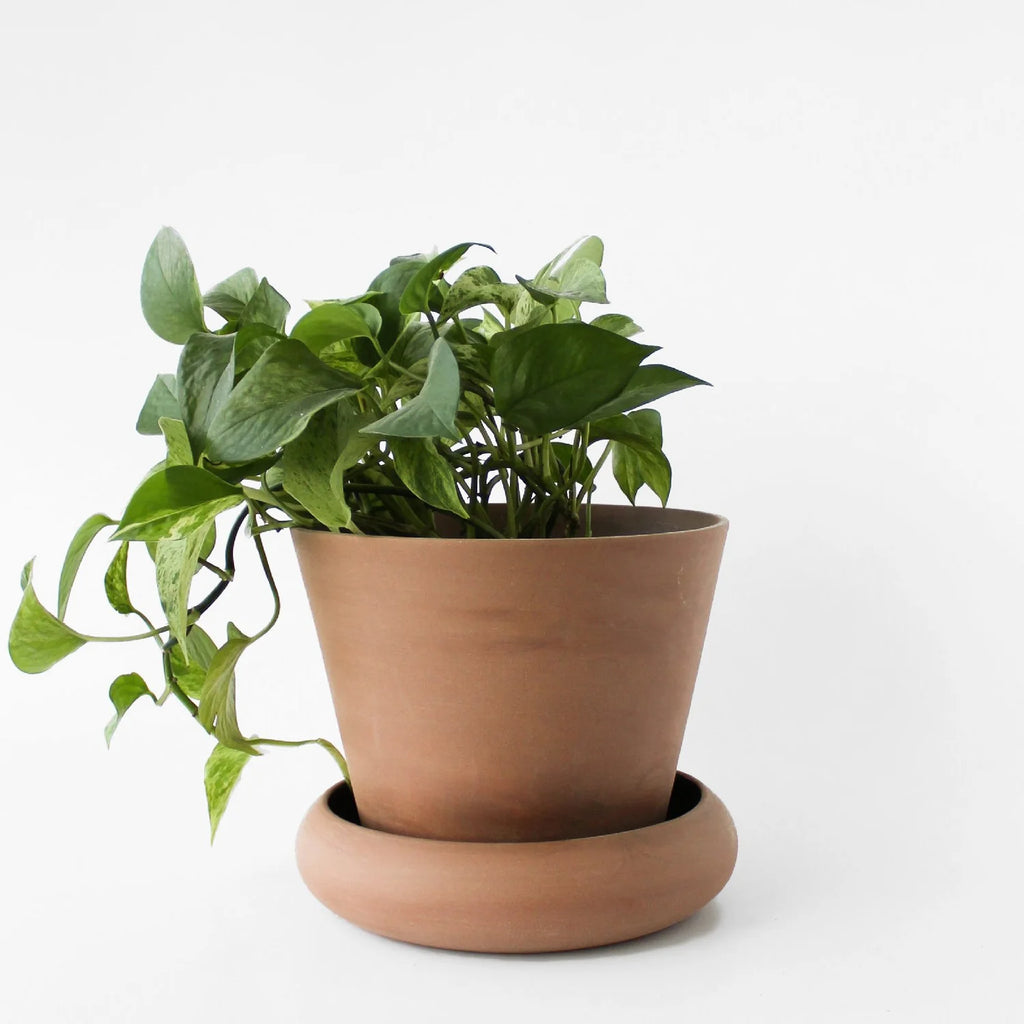 ANDY V2 PLANT POT - Terra Cotta — by Josie Daisy