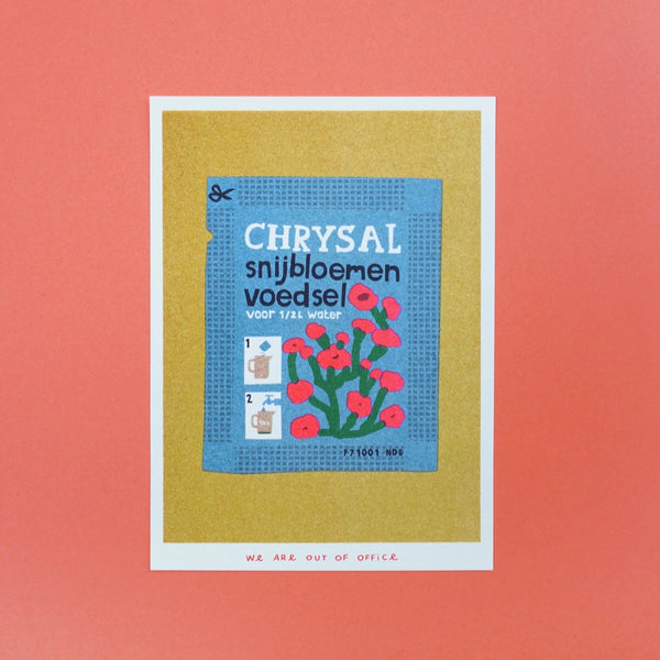 A SACHET OF CHRYSAL FLOWER FOOD, 13x18 cm (5x7") — by We are out of office