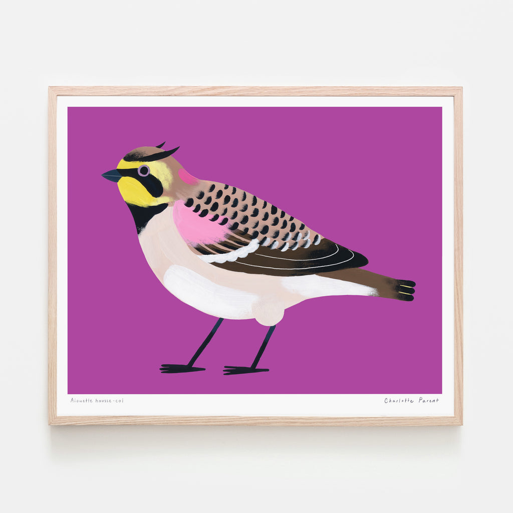 ALOUETTE HAUSSE-COL, 8" x 10" — by Charlotte Parent