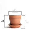 ANDY PLANT POT - Pink — by Josie Daisy