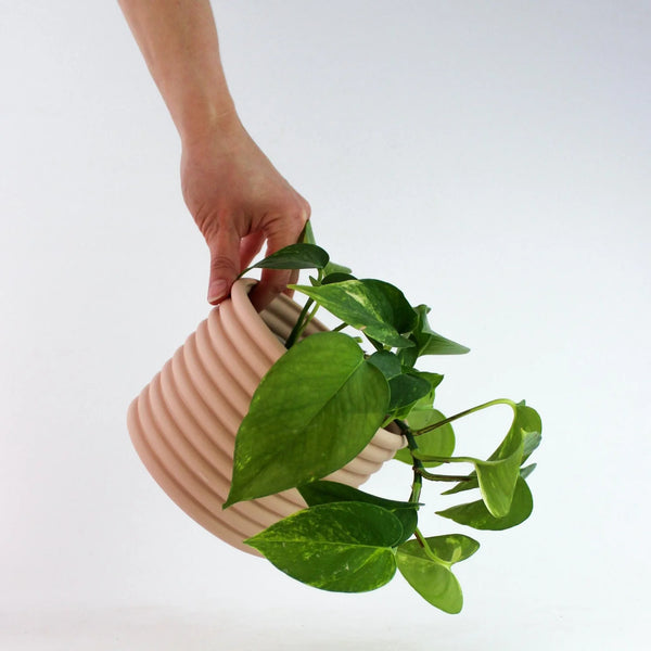 ANN KARINE PLANT POT - Pink — by Josie Daisy