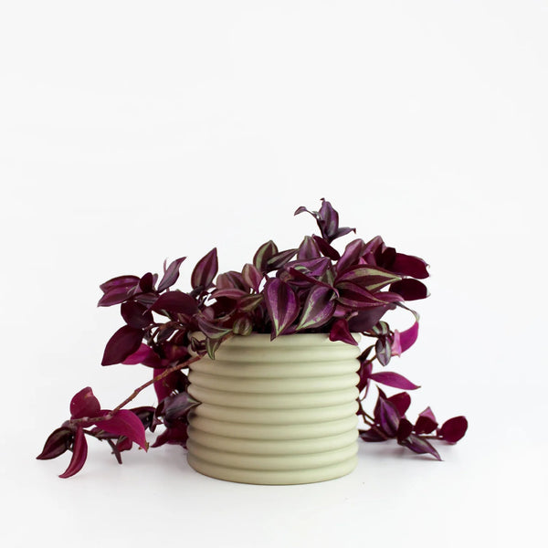 ANN KARINE PLANT POT - Green — by Josie Daisy