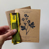 PAPER FLOWER, CRAFT KIT - Buttercup — by Atelier Nature Morte