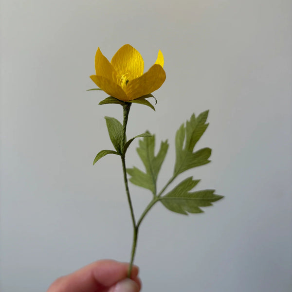 PAPER FLOWER, CRAFT KIT - Buttercup — by Atelier Nature Morte