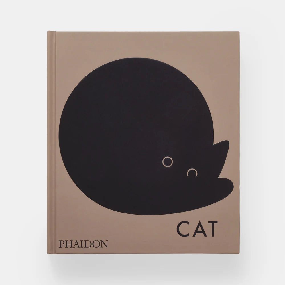 CAT — by Hannah Shaw and Leïla Jarbouai