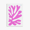 COLOUR UNBOUND: Henri Matisse 1941–1954 — Centre Pompidou