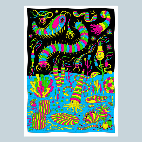 CAMBRIAN EXPLOSION, Silkscreen - 50x70 cm — by Jesse Jacobs