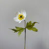 PAPER FLOWER, CRAFT KIT - Canada Anemone — by Atelier Nature Morte