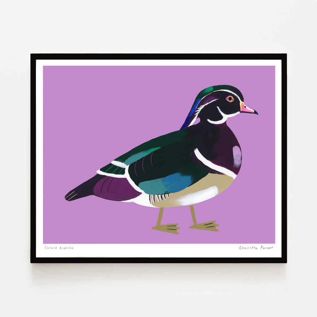 CANARD BRANCHU, 8" x 10" — by Charlotte Parent