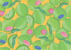 CITRUS NOTEBOOK COLLECTION — by Chronicle Books