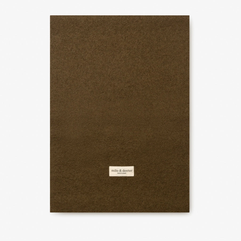 CLASSIC MERINO WOOL SCARF – Olive — by Milo & Dexter