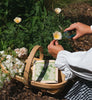 FLOWER PRESS - Forget Me Not — by Studio Wald