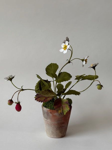 FLEURS DE PAPIER - Fragaria vesca — par Atelier Nature Morte