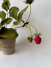 PAPER FLOWERS - Fragaria vesca — by Atelier Nature Morte