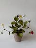 PAPER FLOWERS - Fragaria vesca — by Atelier Nature Morte