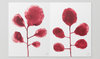 LES FLEURS – by Louise Bourgeois