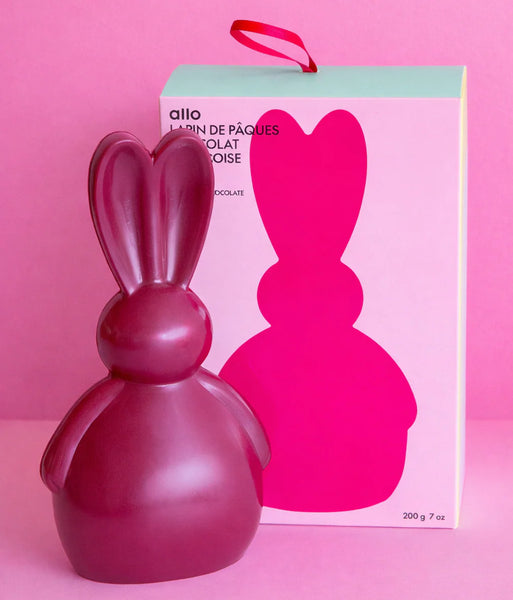 EASTER BUNNY RASPBERRY CHOCOLATE — by Allo Simone