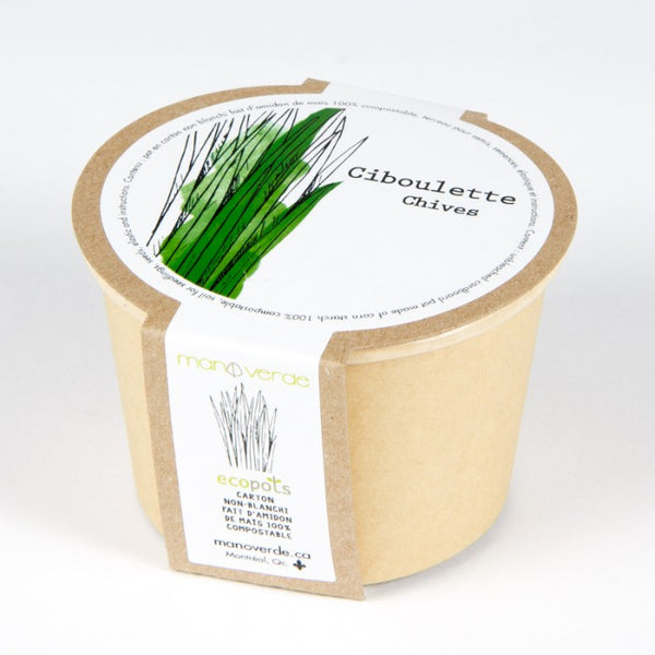 CHIVES SEEDS in Compostable Mini Pot – by Mano Verde
