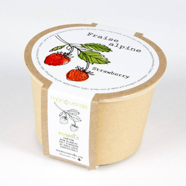 ALPINE STRAWBERRY SEEDS in Compostable Mini Pot – by Mano Verde