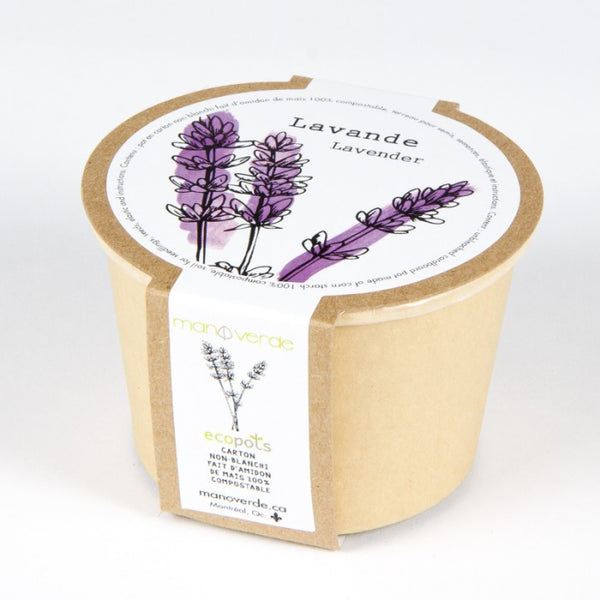 LAVENDER SEEDS in Compostable Mini Pot – by Mano Verde