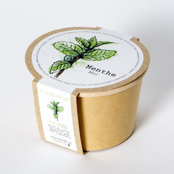 MINT SEEDS in Compostable Mini Pot – by Mano Verde