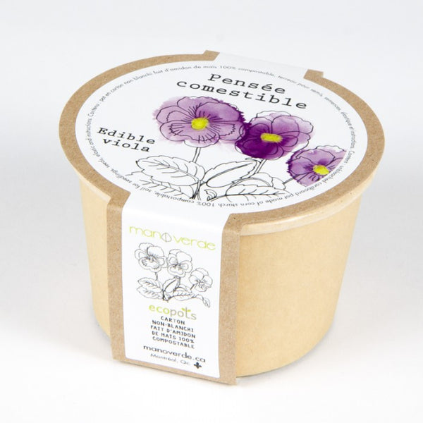 EDIBLE VIOLA SEEDS in Compostable Mini Pot – by Mano Verde