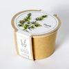 THYME SEEDS in Compostable Mini Pot – by Mano Verde