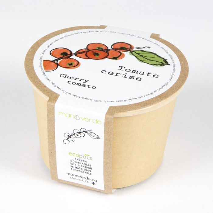 CHERRY TOMATO SEEDS in Compostable Mini Pot – by Mano Verde
