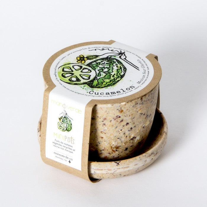 GRAINES DE CUCAMELON dans Mini Pot de Fibres Recyclées – par Mano Verde