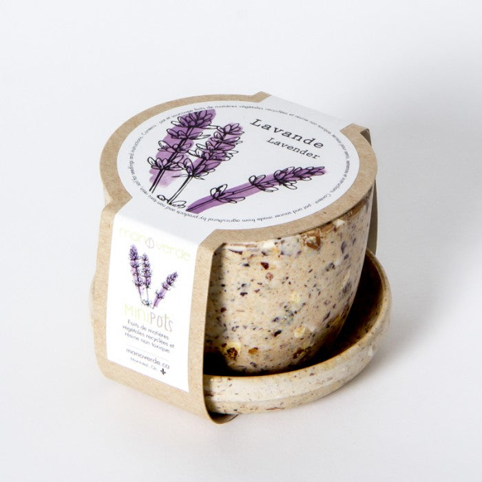GRAINES DE LAVANDE dans Mini Pot de Fibres Recyclées – par Mano Verde