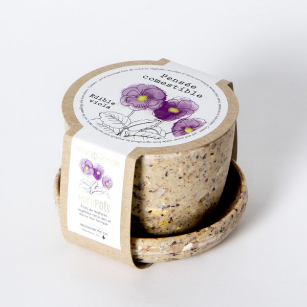EDIBLE VIOLA SEEDS in Recycled Fibers Mini Pot – by Mano Verde