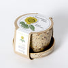 GRAINES DE TOURNESOL NAIN dans Mini Pot de Fibres Recyclées – par Mano Verde