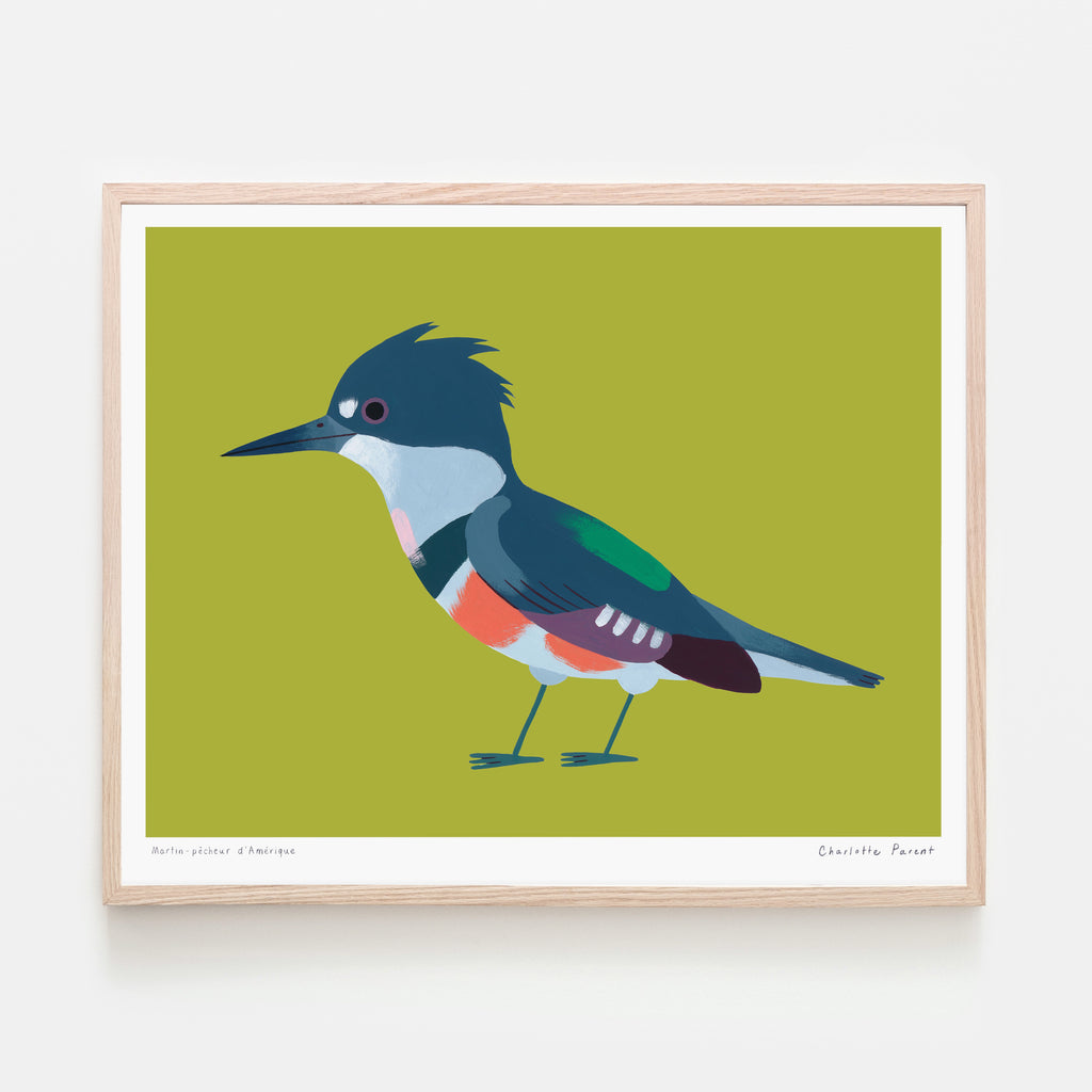 MARTIN PÊCHEUR, 8" x 10" — by Charlotte Parent