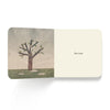NOW I SEE SPRING — by Mac Barnett, Jon Klassen