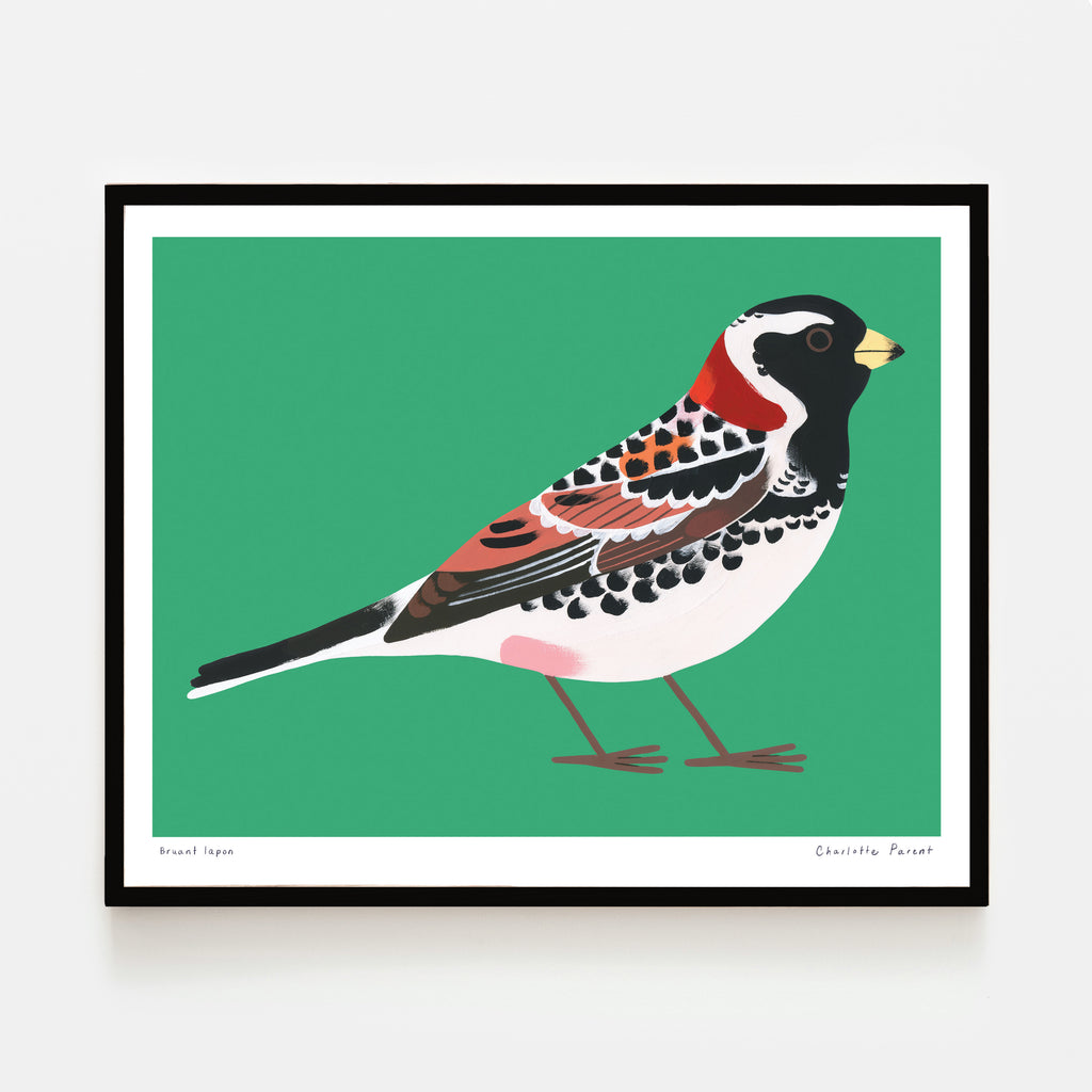 BRUANT LAPON, 10" x 8" — by Charlotte Parent