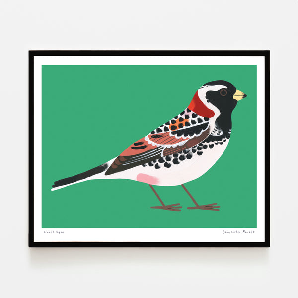 BRUANT LAPON, 10" x 8" — by Charlotte Parent