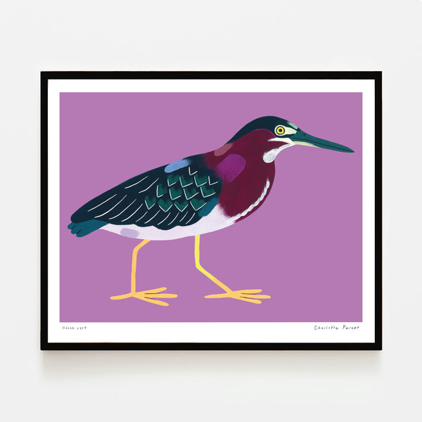 HÉRON VERT, 10" x 8" — by Charlotte Parent