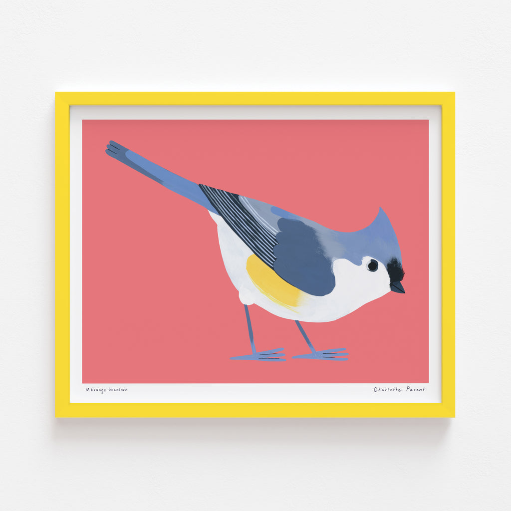 MÉSANGE BICOLORE, 10" x 8" — by Charlotte Parent