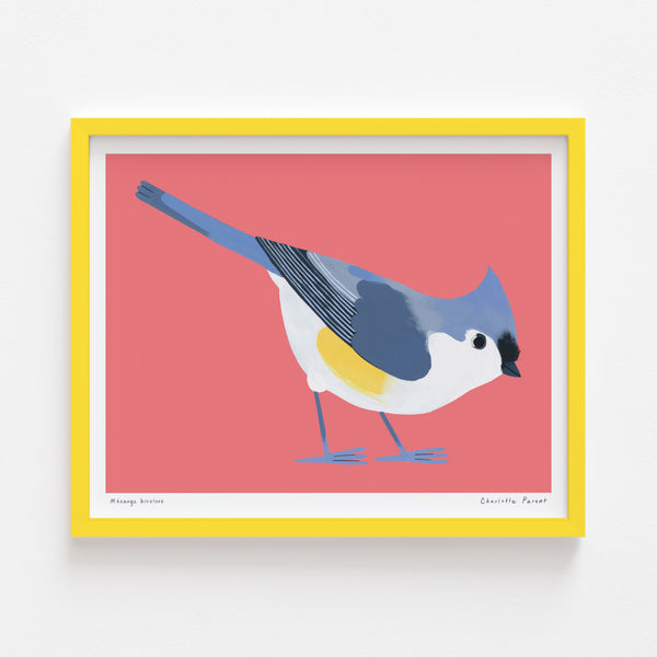 MÉSANGE BICOLORE, 10" x 8" — by Charlotte Parent