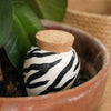 OLLA, Watering Spikes - Zebra — by Pepin