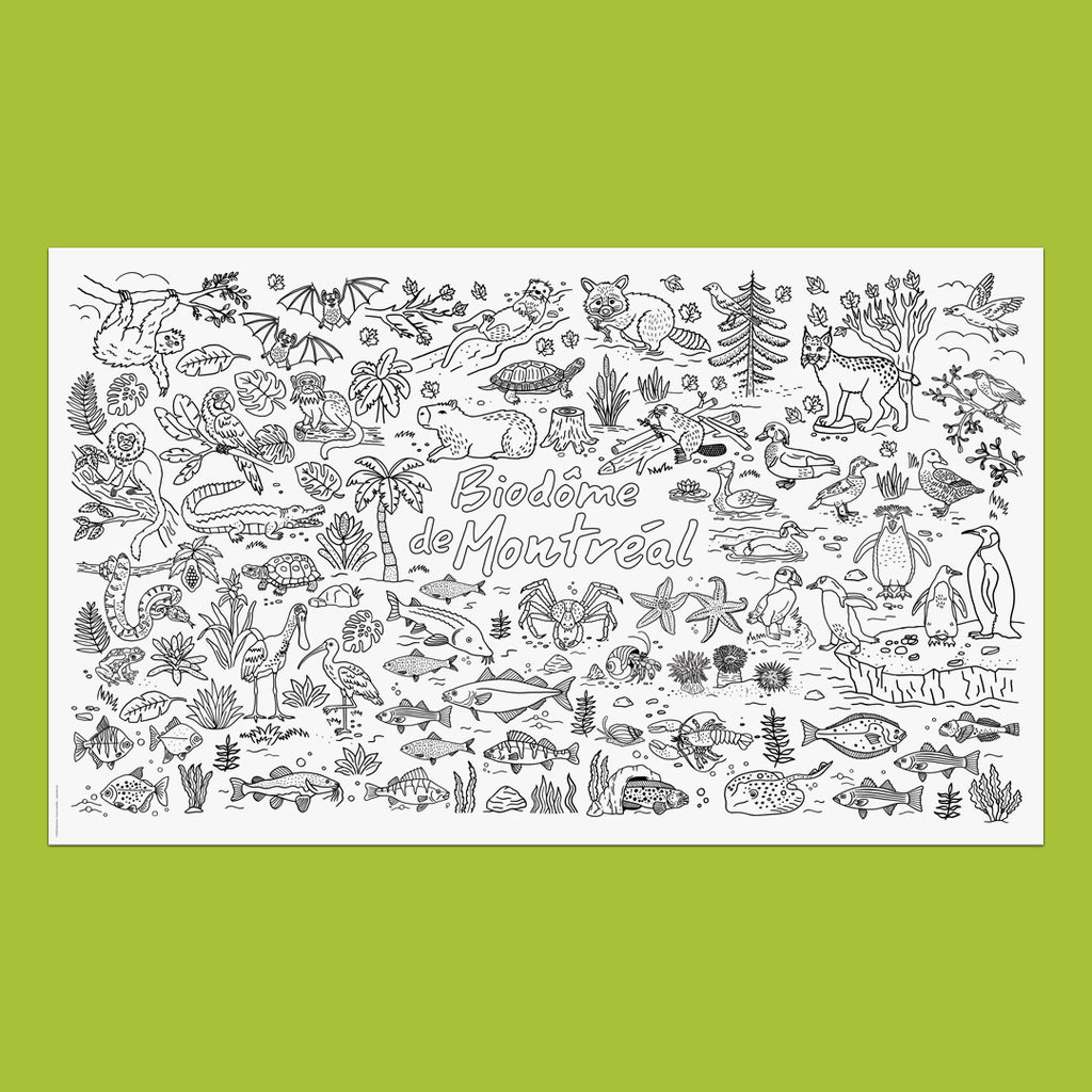 BIODÔME DE MONTRÉAL –  Giant Colouring Poster, 60 x 36" – by Francis Léveillée