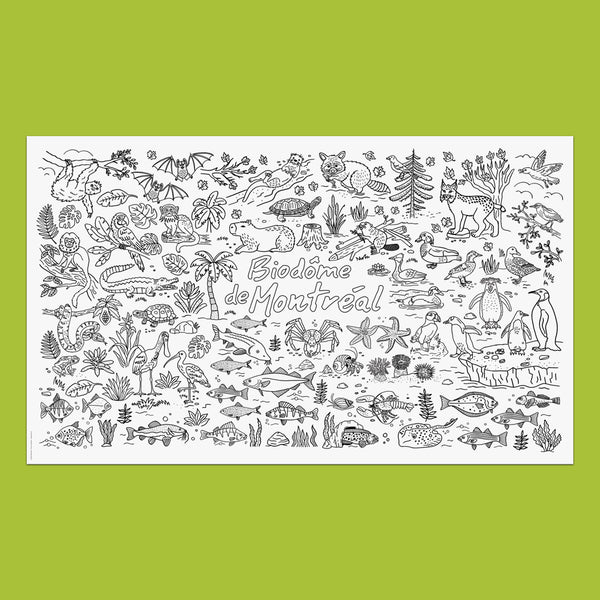 BIODÔME DE MONTRÉAL –  Giant Colouring Poster, 60 x 36" – by Francis Léveillée