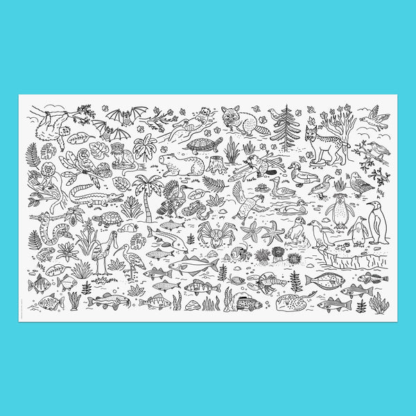 ECOSYSTEMS OF THE AMERICAS – Giant Colouring Poster, 60 x 36" — by Francis Léveillée