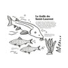 FIVE ECOSYSTEMS OF THE AMERICAS COLOURING BOOK – by Francis Léveillée