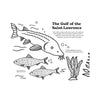 FIVE ECOSYSTEMS OF THE AMERICAS – by Francis Léveillée